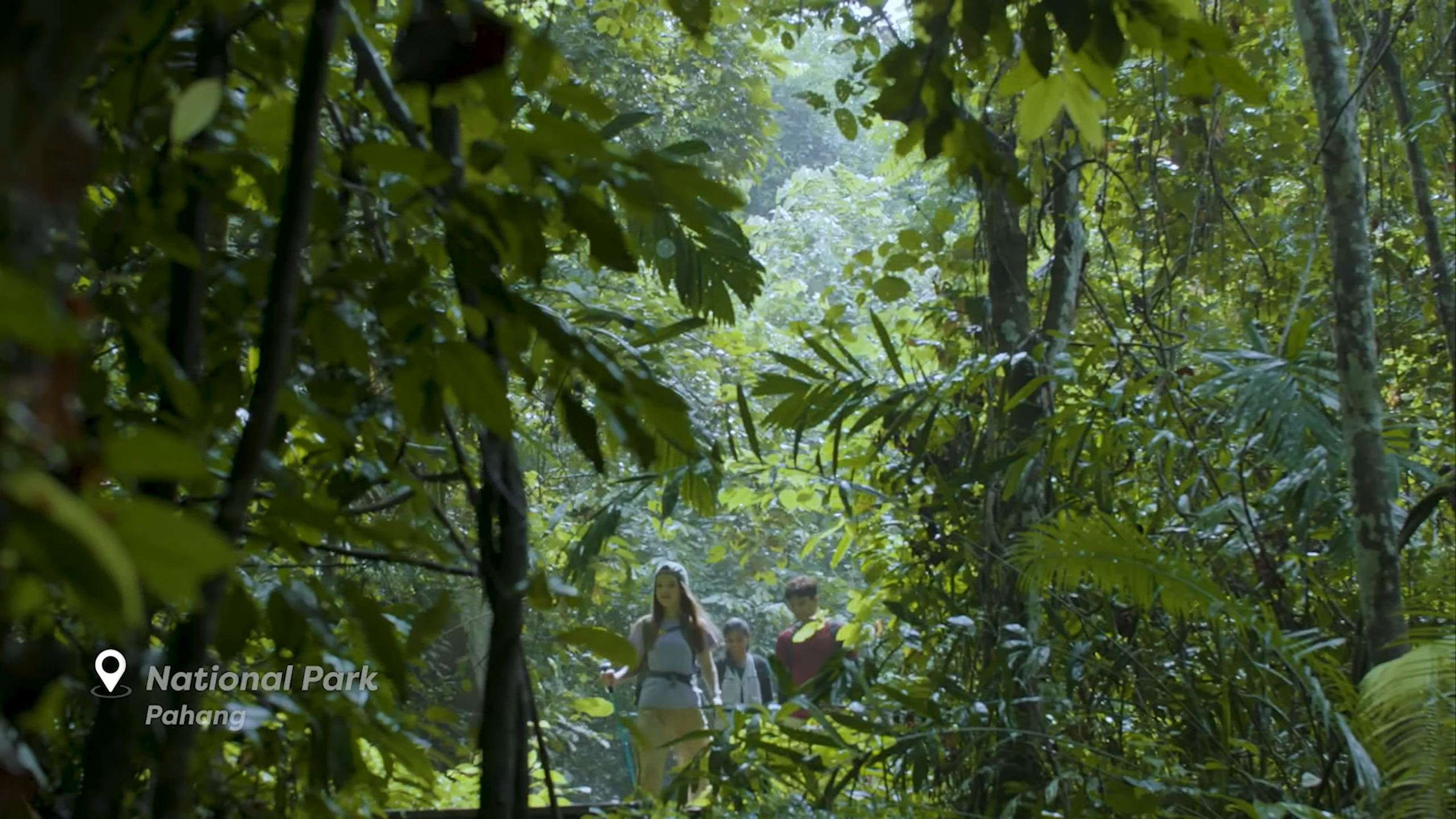 National Park Hutan 2